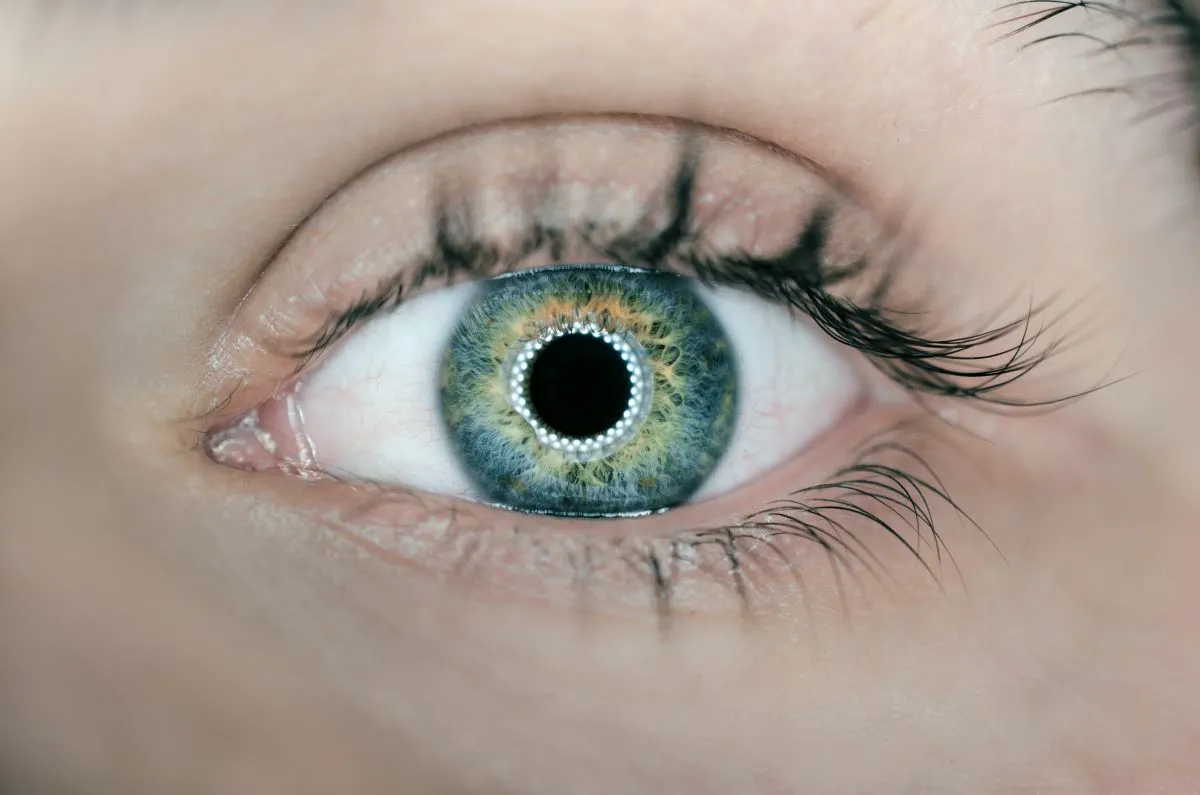 How Much Does Lasik Eye Surgery Cost Without Insurance?